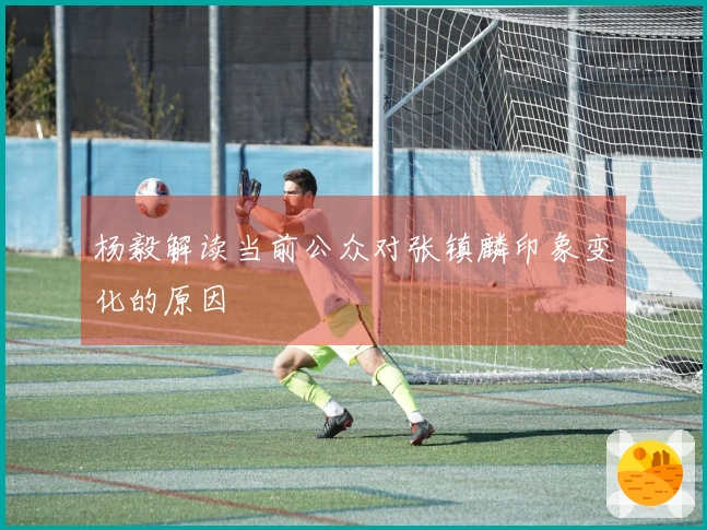 杨毅解读当前公众对张镇麟印象变化的原因